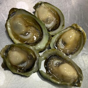 Ostras Corrientes *Unidad