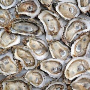 Ostras Medianas * Unidad