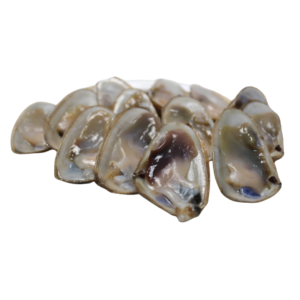 Promoción Bandeja de Machas Frescas