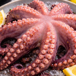 Pulpo del sur crudo